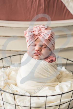 Isla - Newborn_010622_0212