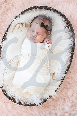 Isla - Newborn_010622_0242