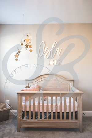 Isla - Newborn_010622_0280