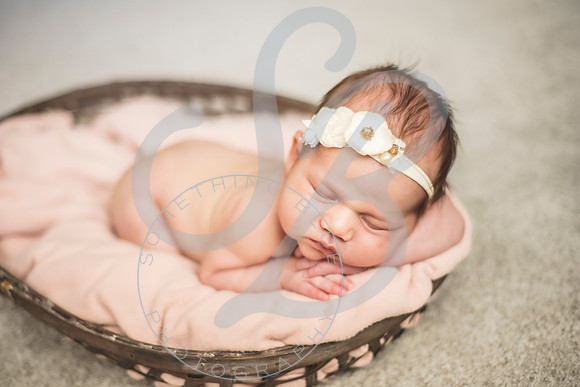 Isla - Newborn_010622_0045