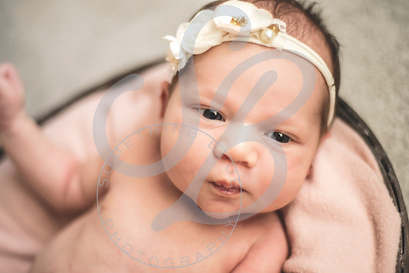 Isla - Newborn_010622_0030