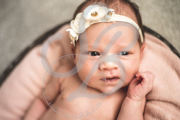 Isla - Newborn_010622_0003