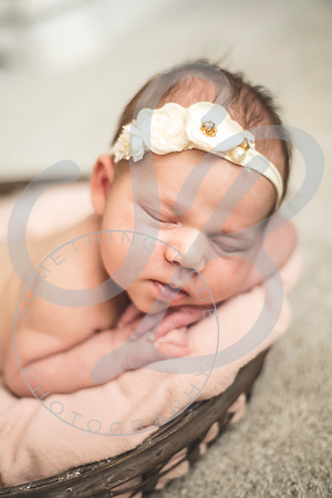 Isla - Newborn_010622_0073
