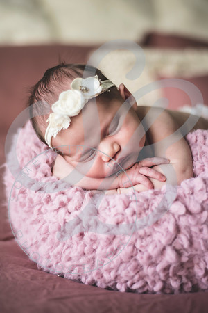 Isla - Newborn_010622_0106