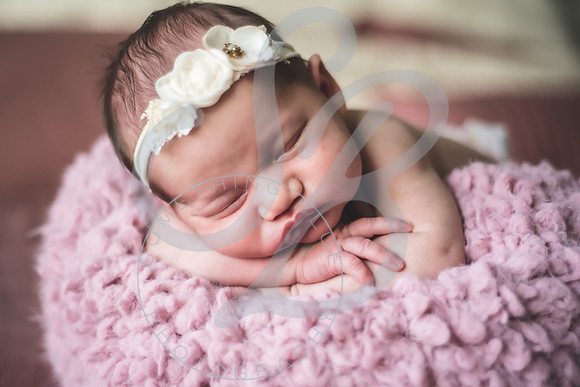Isla - Newborn_010622_0110