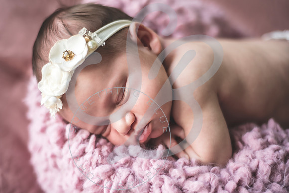 Isla - Newborn_010622_0115
