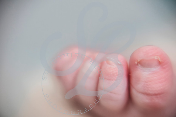 Isla - Newborn_010622_0128