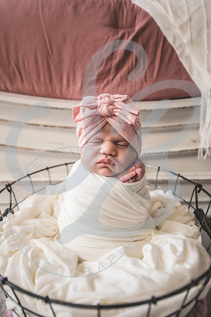 Isla - Newborn_010622_0187