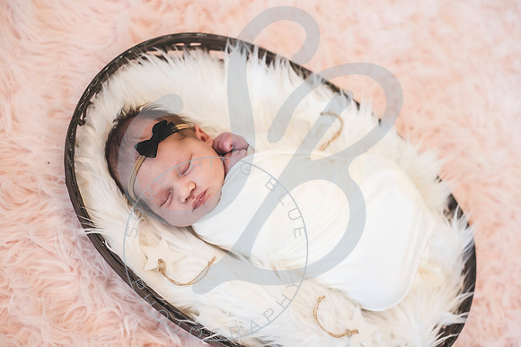 Isla - Newborn_010622_0235