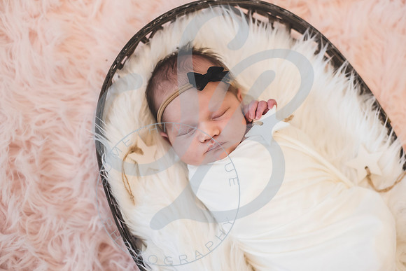 Isla - Newborn_010622_0239