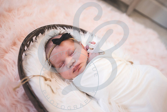 Isla - Newborn_010622_0255