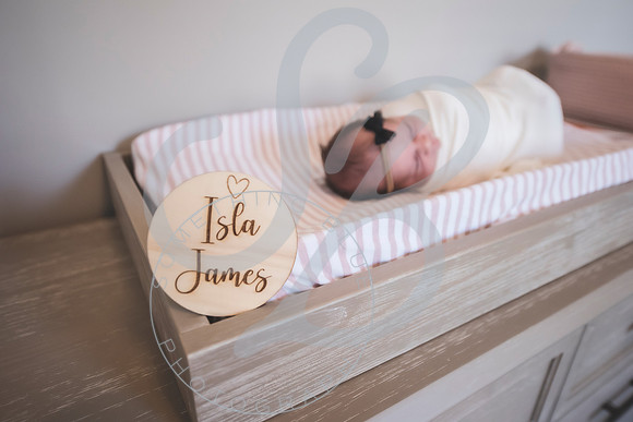 Isla - Newborn_010622_0258