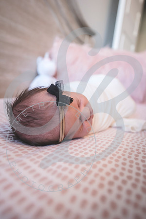 Isla - Newborn_010622_0274