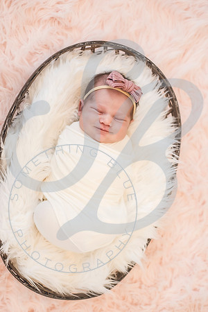Isla - Newborn_010622_0320