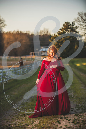 Meaghan - Maternity_032622_0431