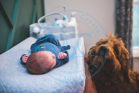 Townsend - Newborn_013121_0015