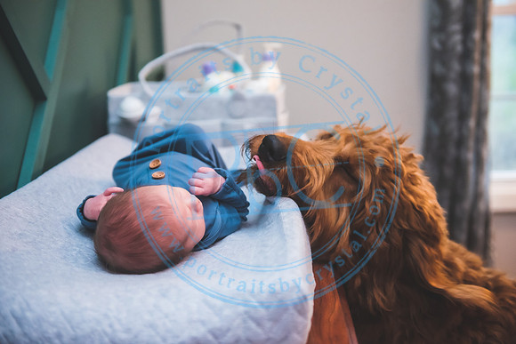 Townsend - Newborn_013121_0013