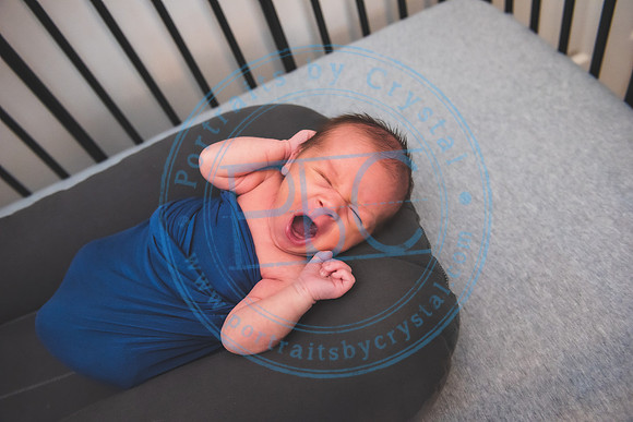Townsend - Newborn_013121_0198