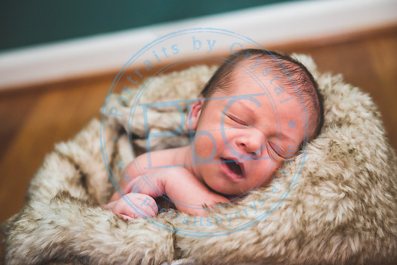 Townsend - Newborn_013121_0218