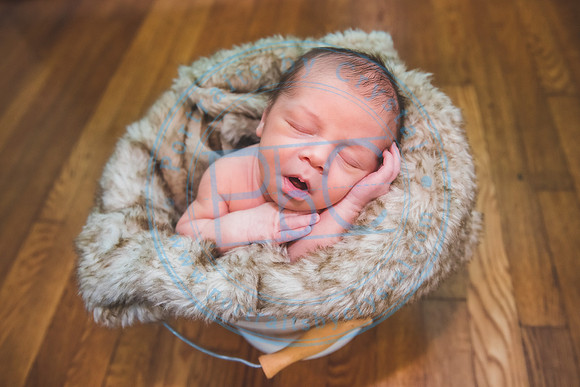 Townsend - Newborn_013121_0224