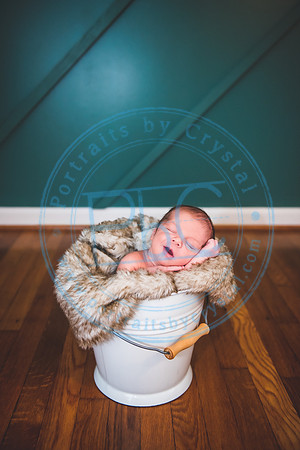 Townsend - Newborn_013121_0233
