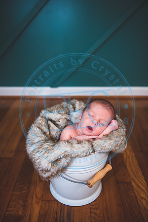 Townsend - Newborn_013121_0248