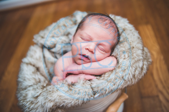 Townsend - Newborn_013121_0255