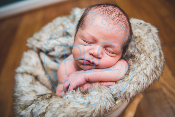 Townsend - Newborn_013121_0261