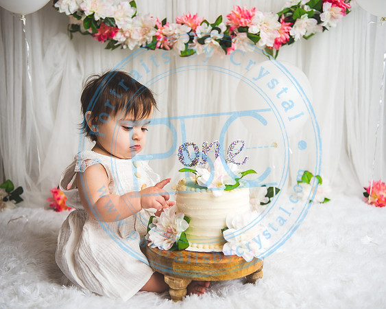 Mackenzie - Cake Smash_021321_0126