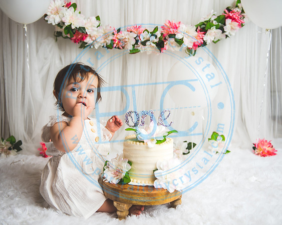 Mackenzie - Cake Smash_021321_0135