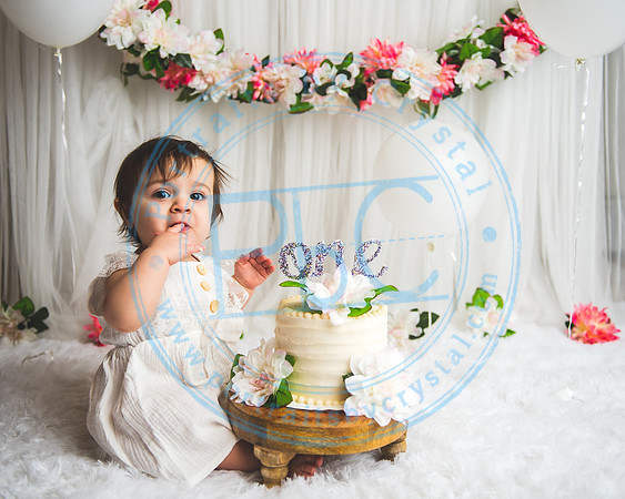 Mackenzie - Cake Smash_021321_0138