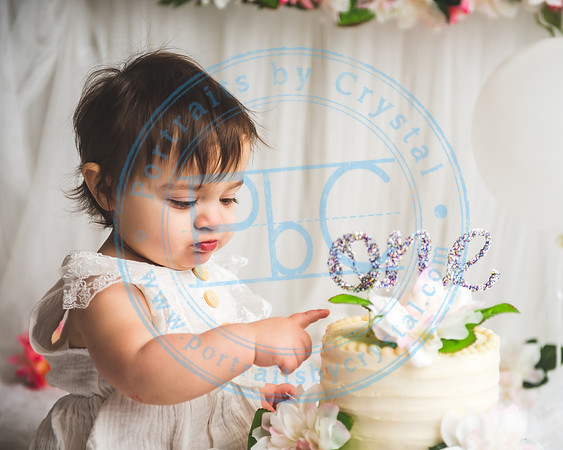 Mackenzie - Cake Smash_021321_0142