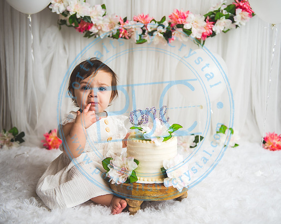 Mackenzie - Cake Smash_021321_0150