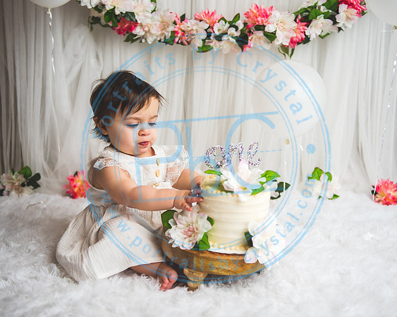 Mackenzie - Cake Smash_021321_0152