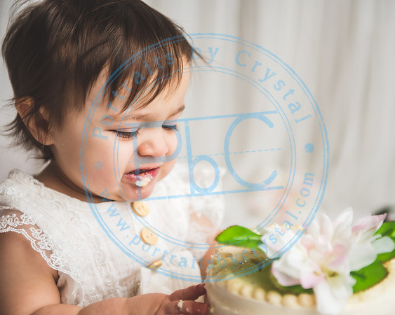 Mackenzie - Cake Smash_021321_0158