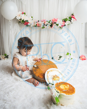 Mackenzie - Cake Smash_021321_0166