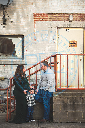 Lauren - Maternity_022021_0127