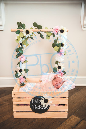 Jessie - Newborn_072221_0472