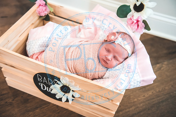 Jessie - Newborn_072221_0481