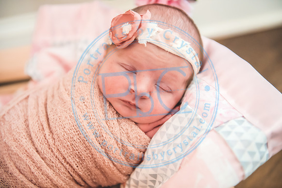 Jessie - Newborn_072221_0483