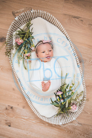 Gabie - Newborn080221.02