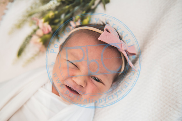 Gabie - Newborn080221.01