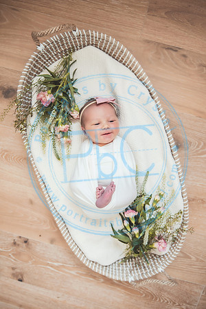 Gabie - Newborn080221.03