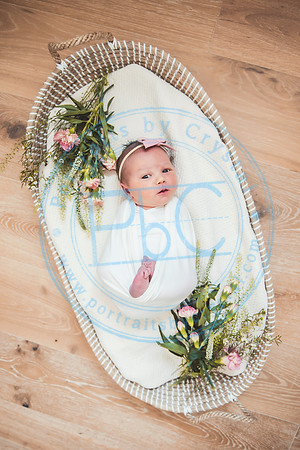 Gabie - Newborn080221.04