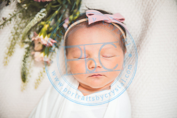 Gabie - Newborn080221.11