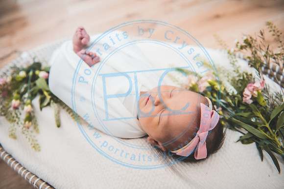 Gabie - Newborn080221.12