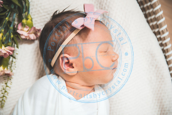 Gabie - Newborn080221.13