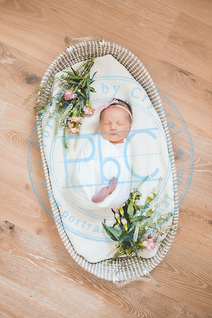 Gabie - Newborn080221.14
