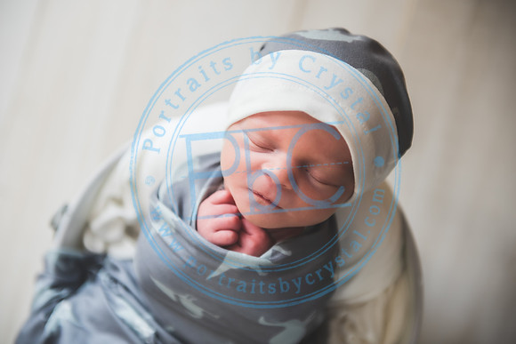 Declan - Newborn_080421_0193