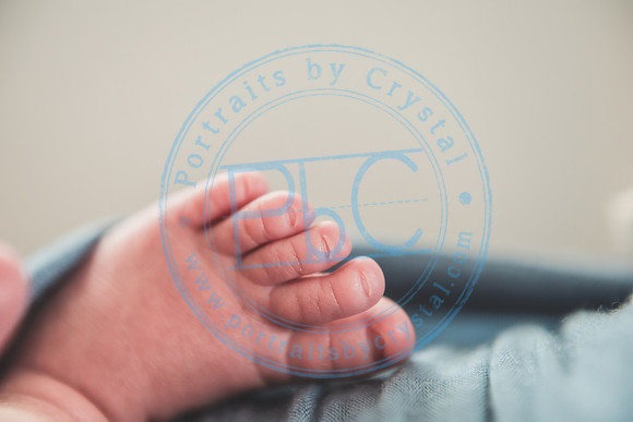 Declan - Newborn_080421_0378